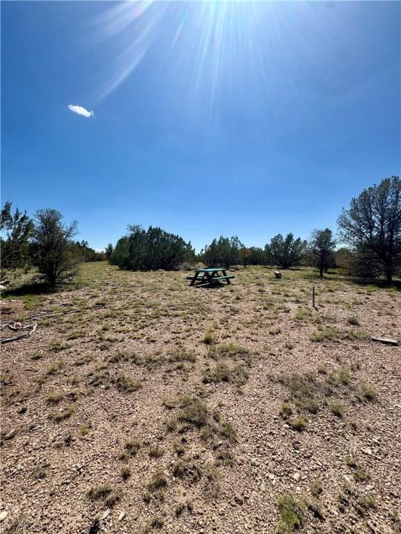 614 N Carson Trl, Seligman, AZ 86337 - photo 39