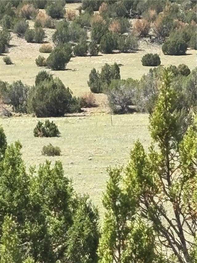 614 N Carson Trl, Seligman, AZ 86337 - photo 19