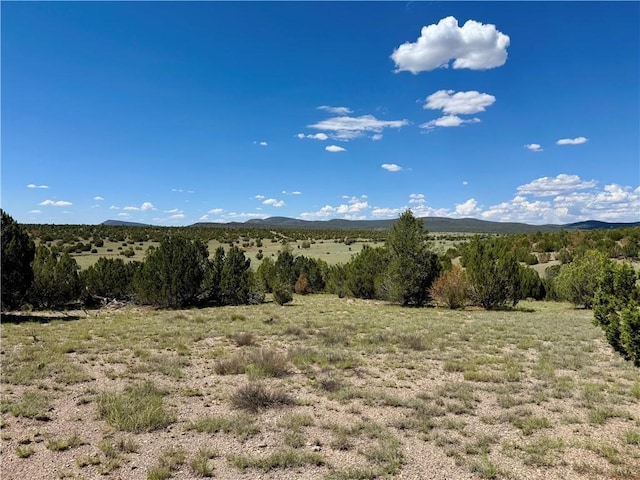 614 N Carson Trl, Seligman, AZ 86337 - photo 42