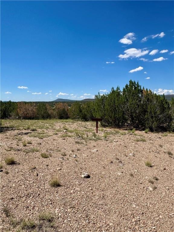614 N Carson Trl, Seligman, AZ 86337 - photo 40