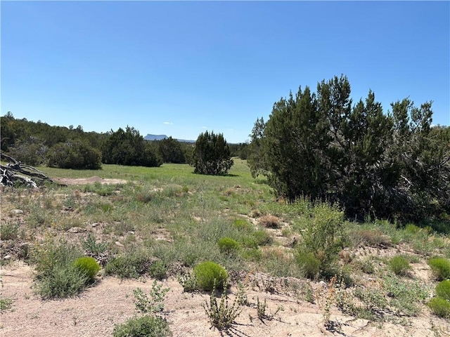614 N Carson Trl, Seligman, AZ 86337 - photo 32