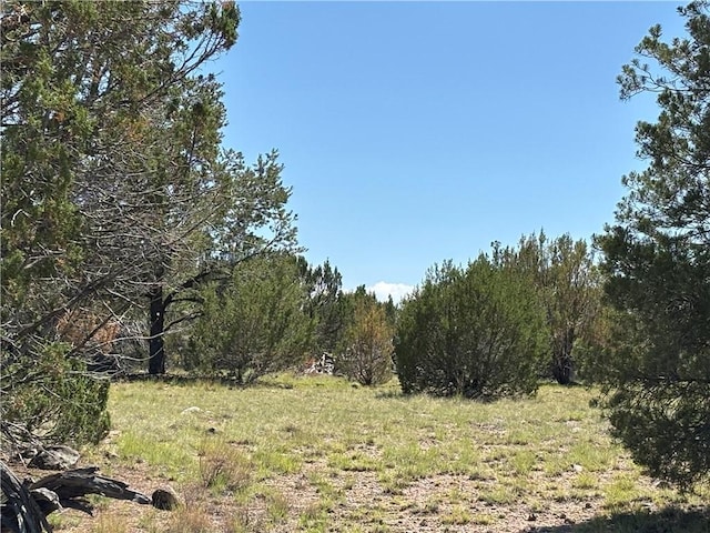 614 N Carson Trl, Seligman, AZ 86337 - photo 9