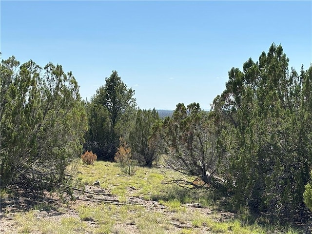 614 N Carson Trl, Seligman, AZ 86337 - photo 30