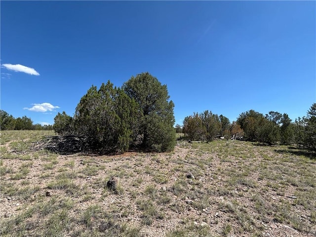 614 N Carson Trl, Seligman, AZ 86337 - photo 29