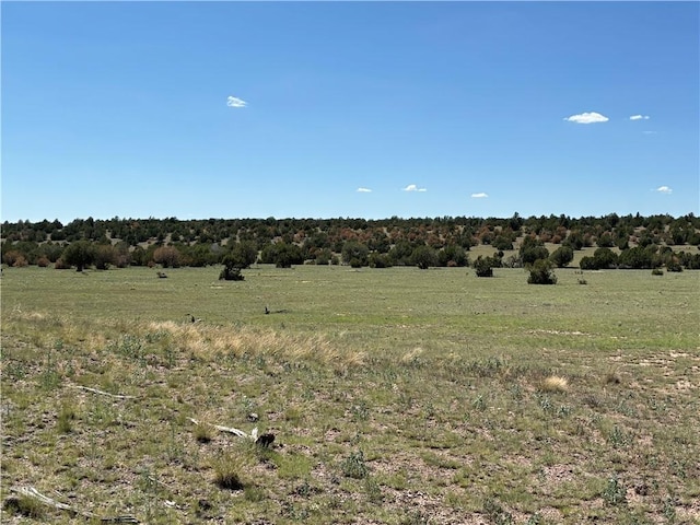614 N Carson Trl, Seligman, AZ 86337 - photo 21