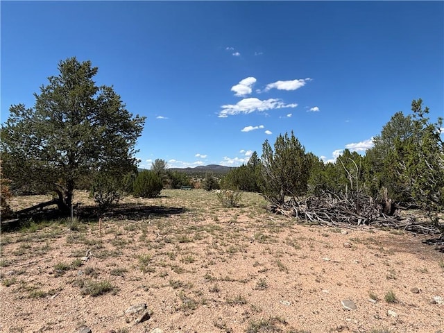 614 N Carson Trl, Seligman, AZ 86337 - photo 13