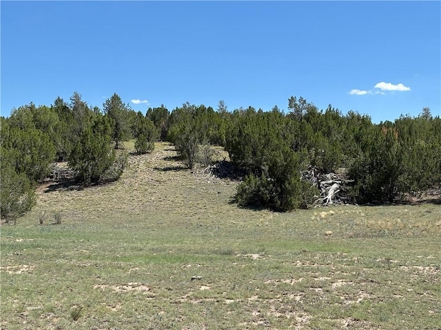 614 N Carson Trl, Seligman, AZ 86337 - photo 25