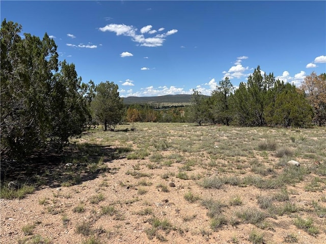 614 N Carson Trl, Seligman, AZ 86337 - photo 4