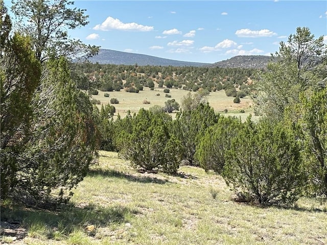 614 N Carson Trl, Seligman, AZ 86337 - photo 8