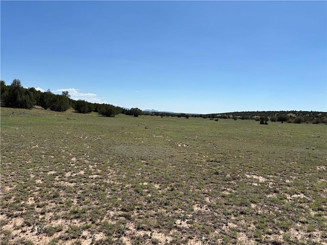 614 N Carson Trl, Seligman, AZ 86337 - photo 24