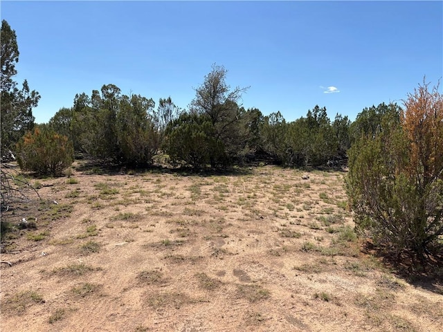 614 N Carson Trl, Seligman, AZ 86337 - photo 3