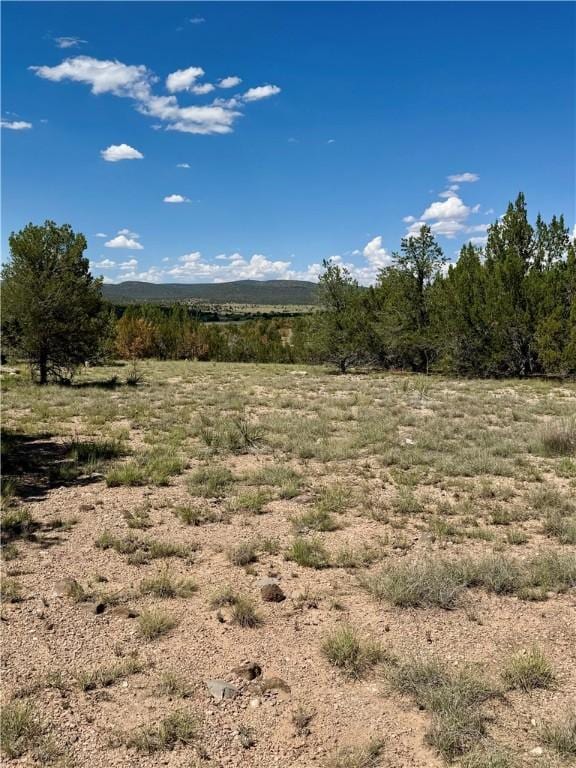 614 N Carson Trl, Seligman, AZ 86337 - photo 36