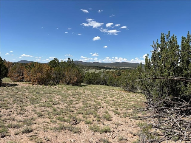 614 N Carson Trl, Seligman, AZ 86337 - photo 6