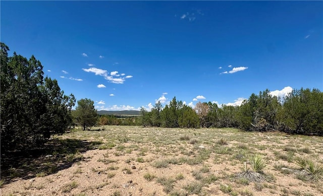 614 N Carson Trl, Seligman, AZ 86337 - photo 37