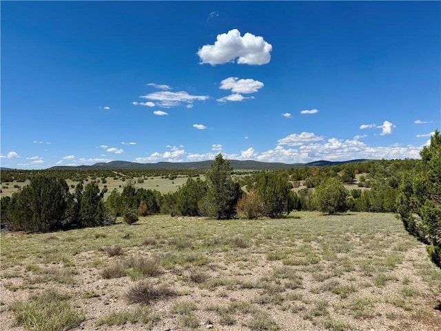 614 N Carson Trl, Seligman, AZ 86337 - photo 43