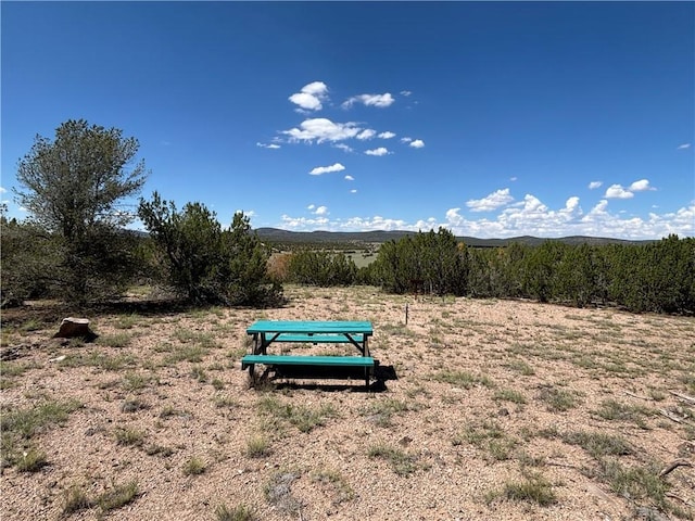 614 N Carson Trl, Seligman, AZ 86337 - photo 11