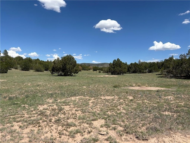 614 N Carson Trl, Seligman, AZ 86337 - photo 22