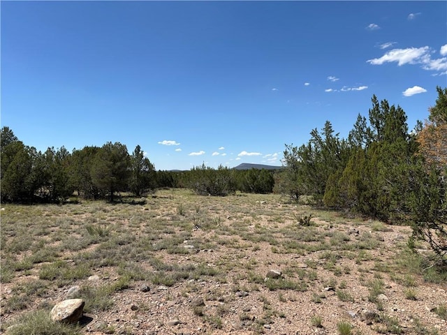 614 N Carson Trl, Seligman, AZ 86337 - photo 5