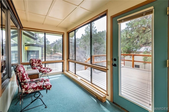 sunroom / solarium featuring a wealth of natural light and carpet flooring