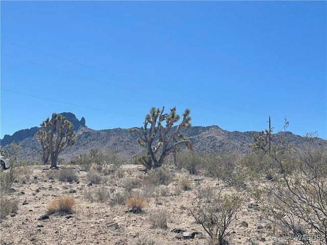 328-04-297 Magnolia Dr, Dolan Springs, AZ 86441 - photo 10