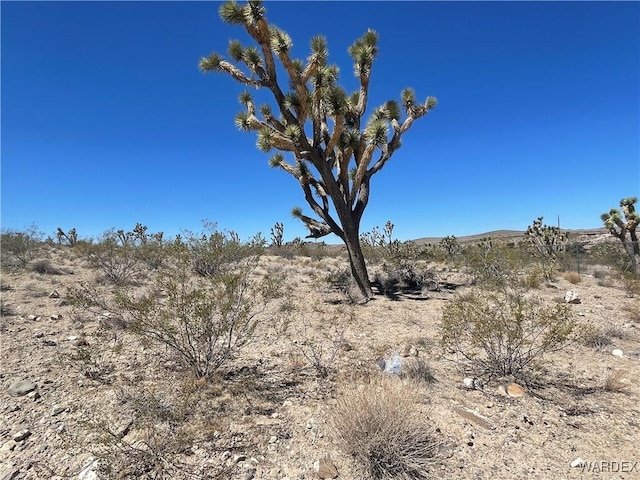 328-04-297 Magnolia Dr, Dolan Springs, AZ 86441 - photo 8