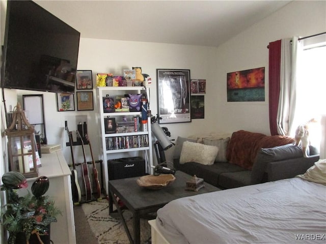 bedroom featuring vaulted ceiling