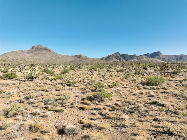 LOT127 N Quaint Dr, Dolan Springs, AZ 86441 - photo 8