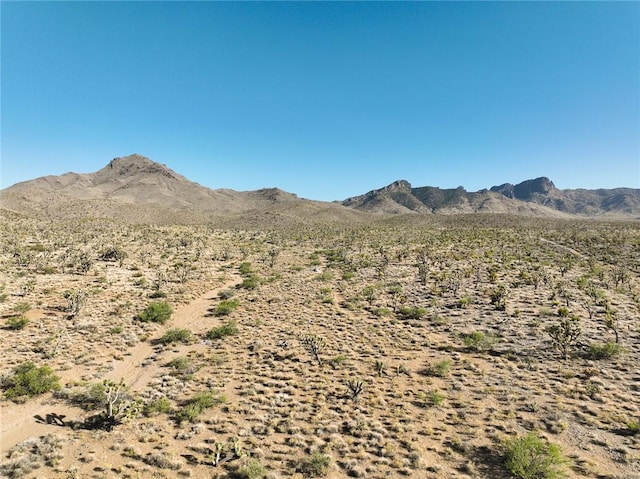 LOT127 N Quaint Dr, Dolan Springs, AZ 86441 - photo 7