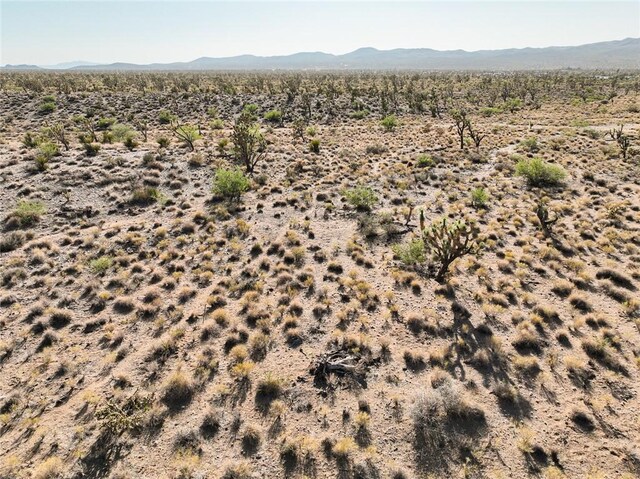 LOT127 N Quaint Dr, Dolan Springs, AZ 86441 - photo 9
