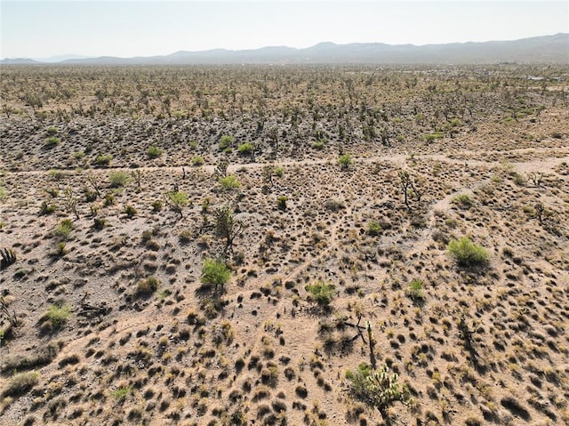 LOT127 N Quaint Dr, Dolan Springs, AZ 86441 - photo 10