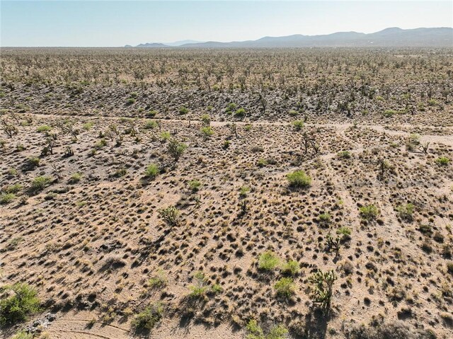 LOT127 N Quaint Dr, Dolan Springs, AZ 86441 - photo 4