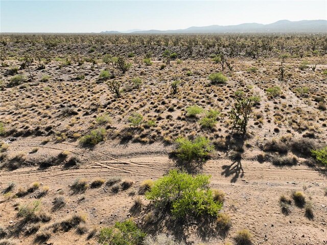 LOT127 N Quaint Dr, Dolan Springs, AZ 86441 - photo 3