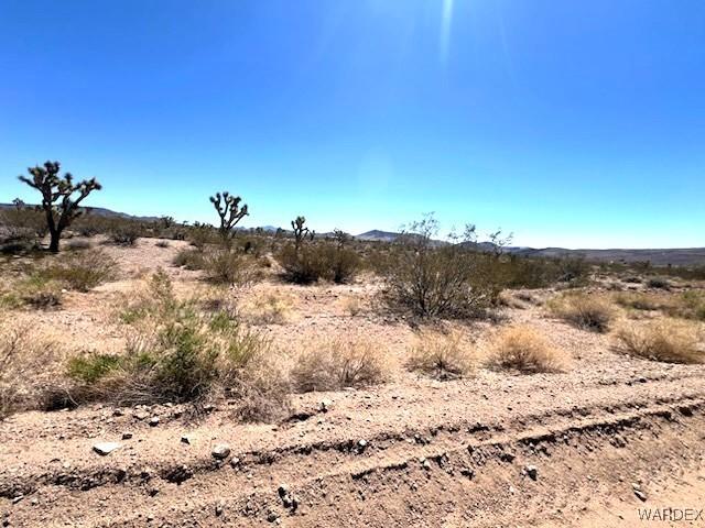 21388 N Spear Blvd, White Hills, AZ 86445 - photo 2