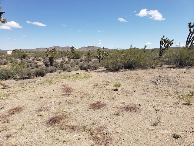 8141 W Inyo Dr, White Hills, AZ 86445 - photo 19