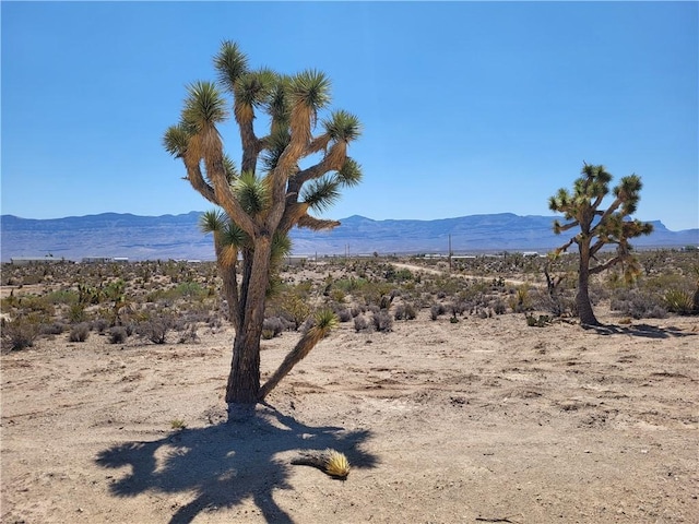 1221 W Calico Dr Unit 4/Lot 1511, Meadview, AZ 86444 - photo 1