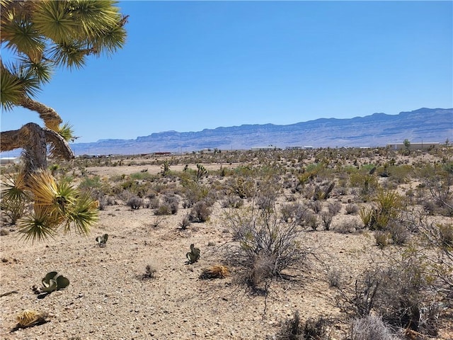 1221 W Calico Dr Unit 4/Lot 1511, Meadview, AZ 86444 - photo 6