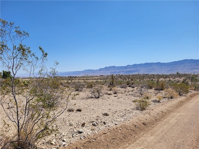 1221 W Calico Dr Unit 4/Lot 1511, Meadview, AZ 86444 - photo 4