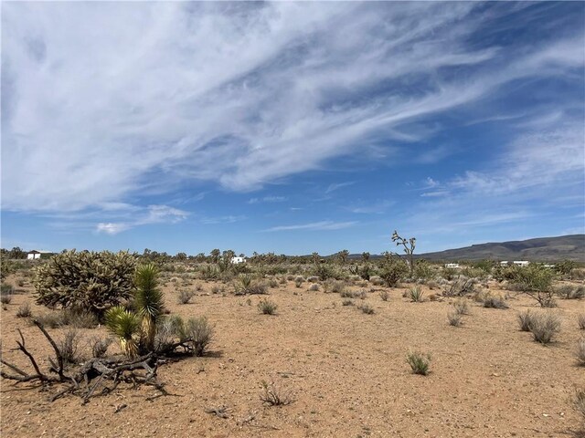 327-02-131 Sunflower Dr, Dolan Springs, AZ 86441 - photo 8