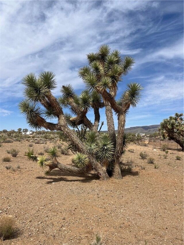 327-02-131 Sunflower Dr, Dolan Springs, AZ 86441 - photo 1