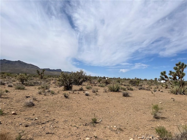327-02-131 Sunflower Dr, Dolan Springs, AZ 86441 - photo 3