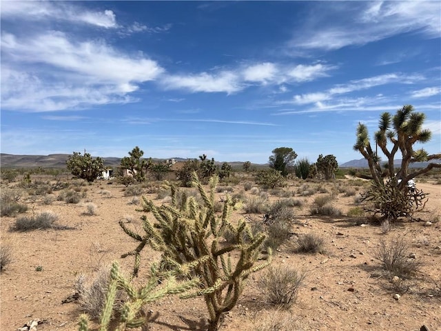 327-02-131 Sunflower Dr, Dolan Springs, AZ 86441 - photo 4