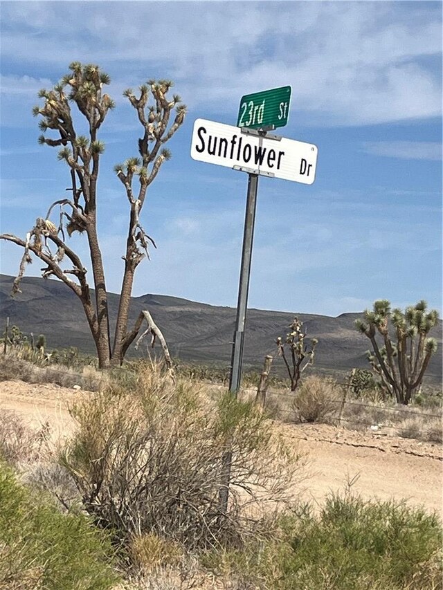327-02-131 Sunflower Dr, Dolan Springs, AZ 86441 - photo 10