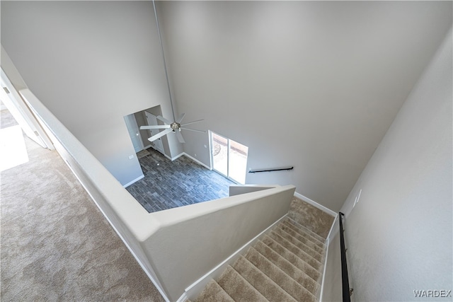 stairway with carpet, a high ceiling, baseboards, and a ceiling fan