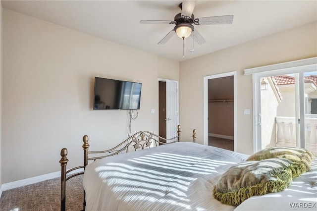 carpeted bedroom with ceiling fan, access to exterior, baseboards, a closet, and a walk in closet