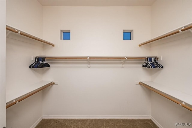 walk in closet with carpet flooring