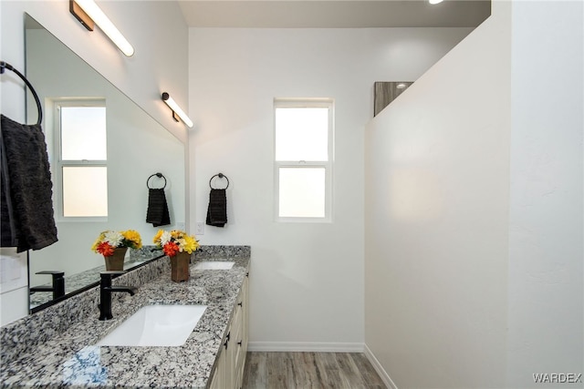 bathroom with double vanity, wood finished floors, a sink, and baseboards