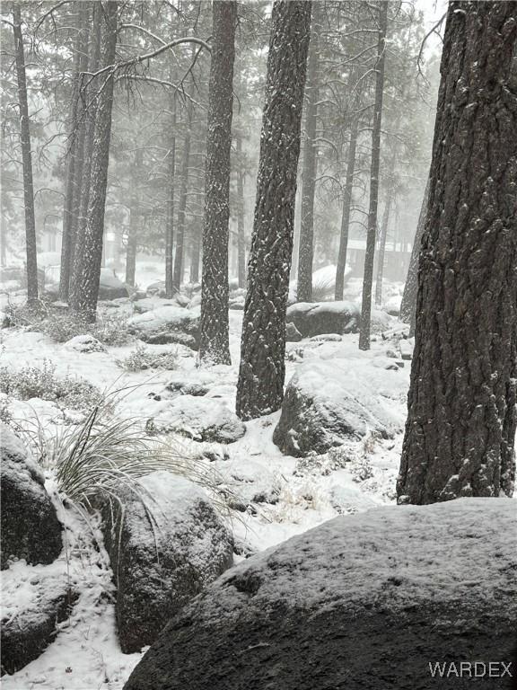 view of snowy landscape