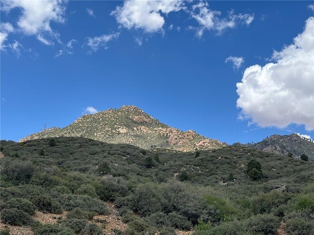6659 E Knob Hill Dr, Kingman, AZ 86401 - photo 44