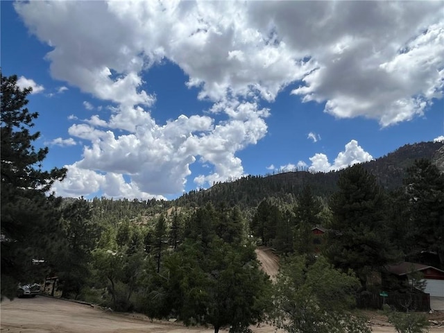 6659 E Knob Hill Dr, Kingman, AZ 86401 - photo 45