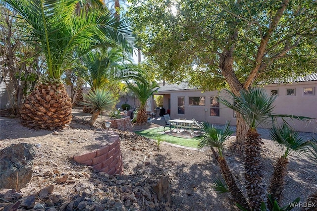 exterior space with a patio and stucco siding